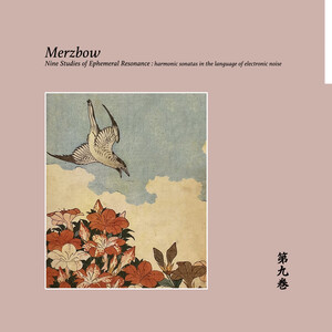 Nine Studies of Ephemeral Resonance Volume 9 by Merzbow (Album